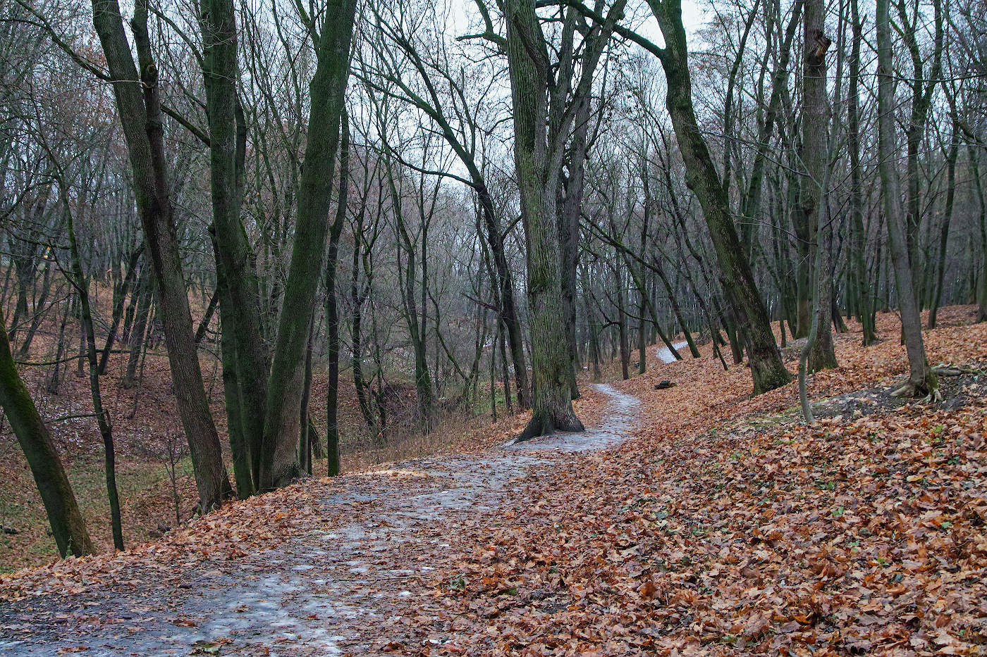 Вчерашний снег
