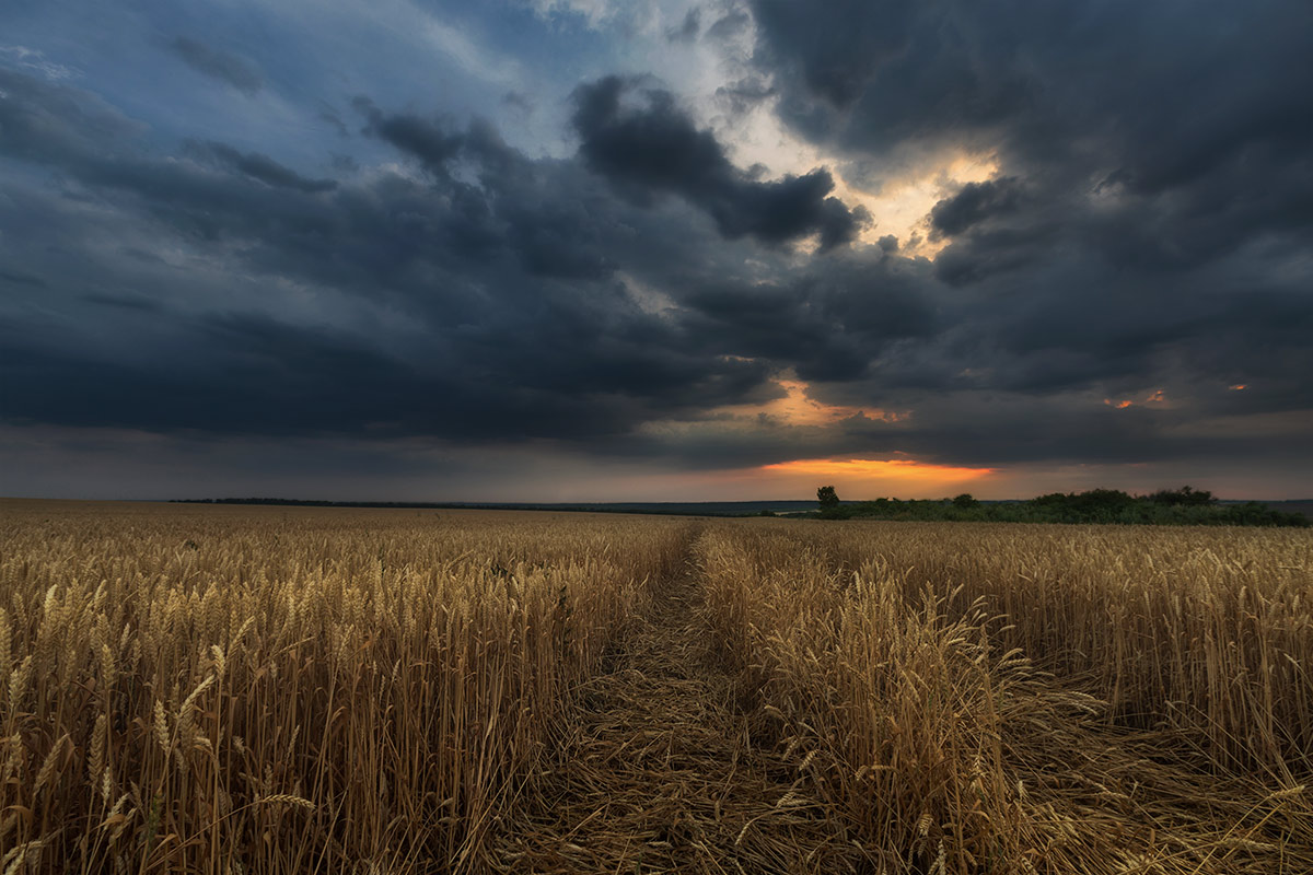 Картинки июля