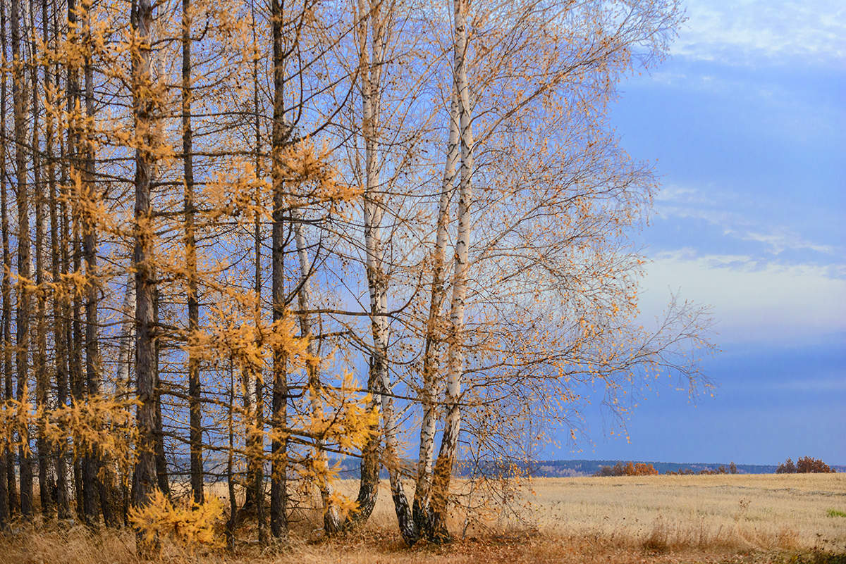 Про осень...