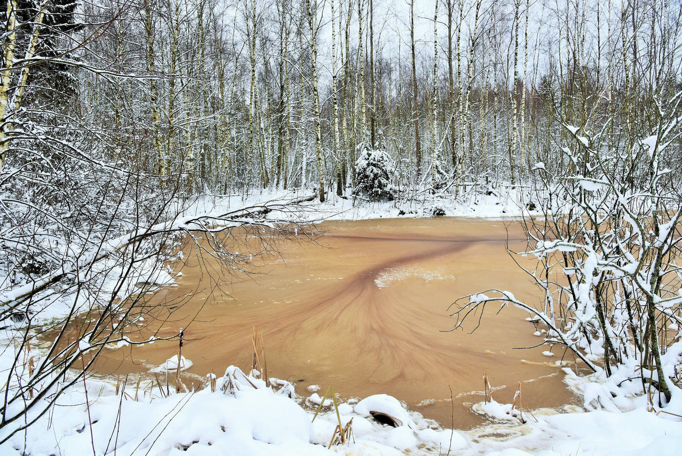 "А у осени силы иссякли ..."