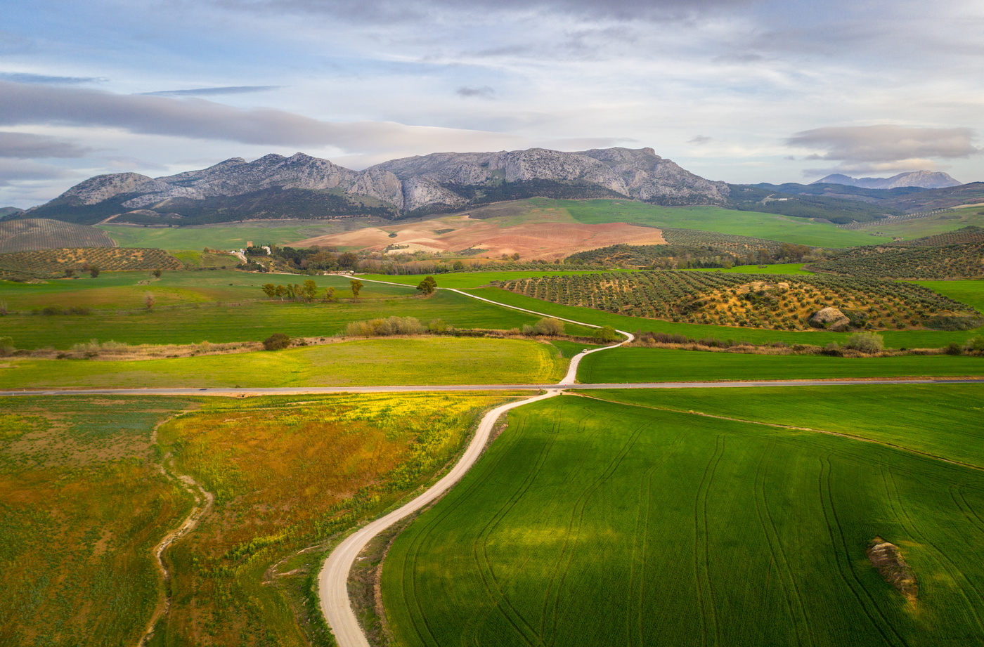 Весенние поля