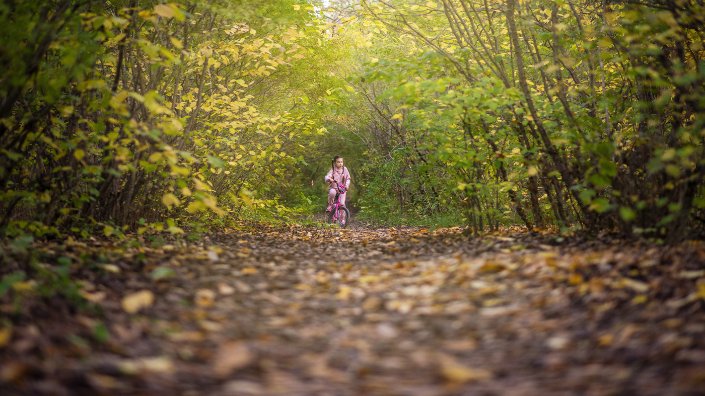 Марафон по осени