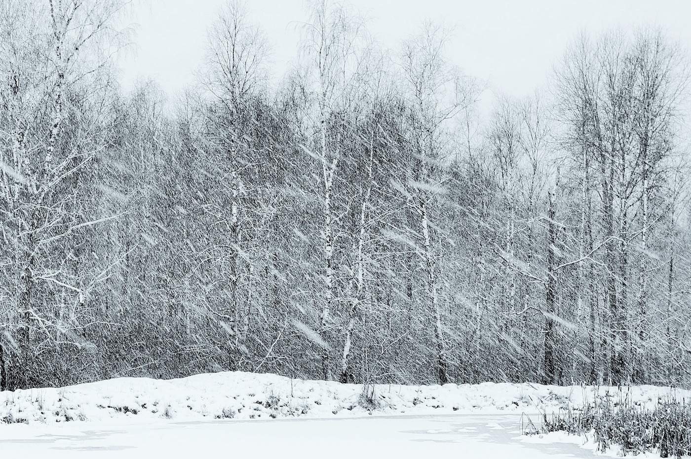 "Что такое метель? Танец ветра и снега..."
