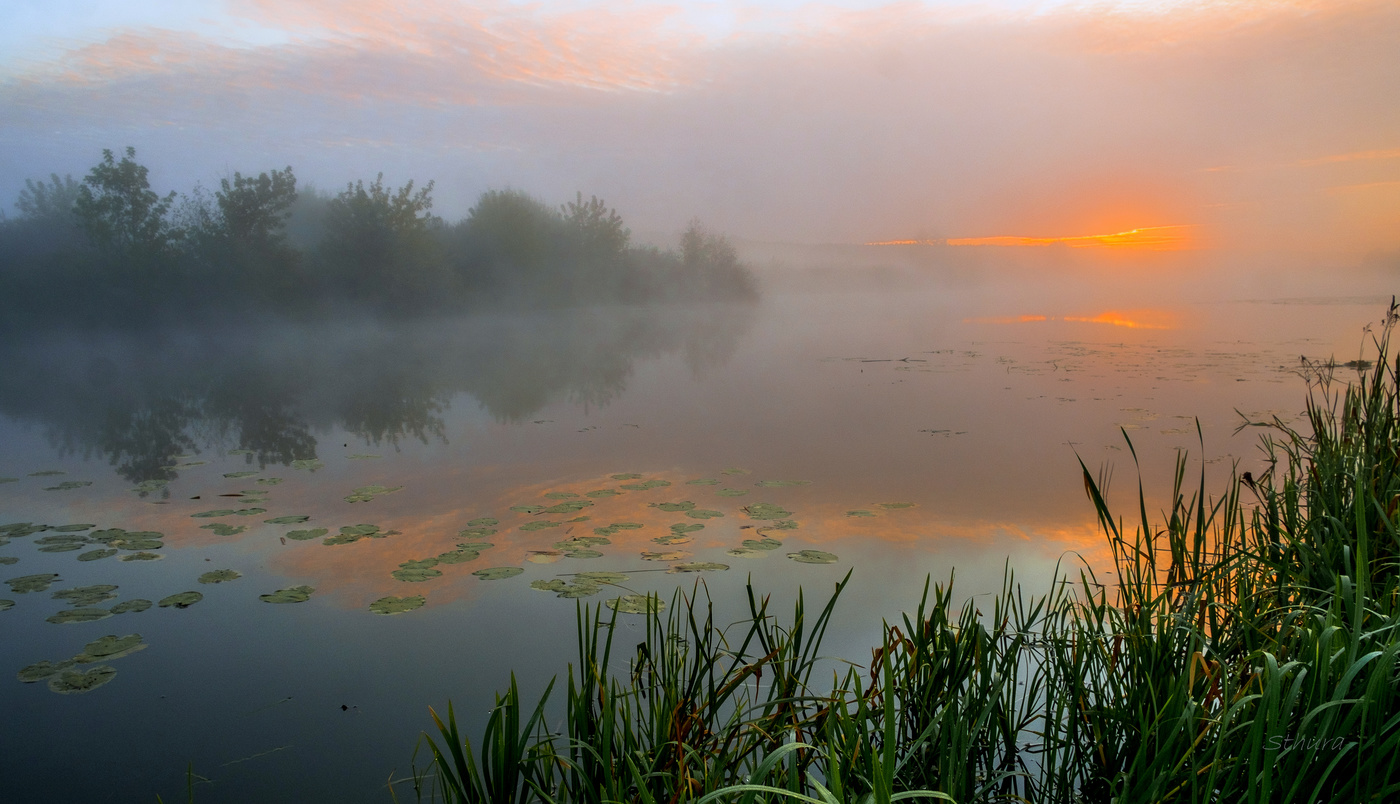 Тучи на рассвете.