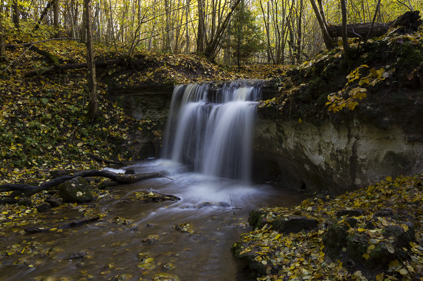 Ручей с водопадом