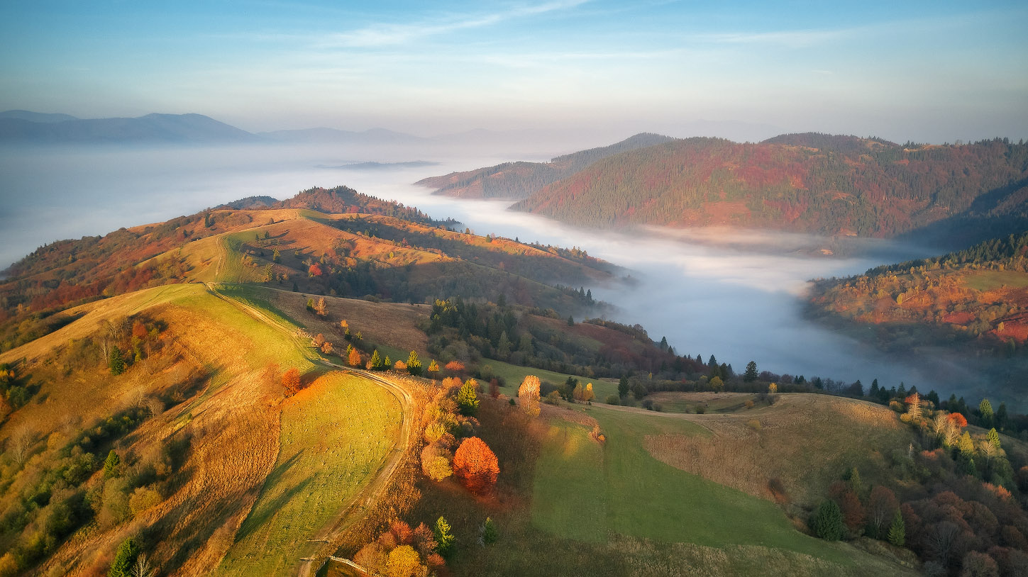 Поднималось солнце