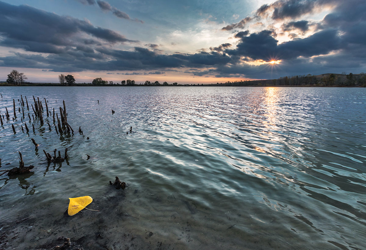 Желтый лист осенний