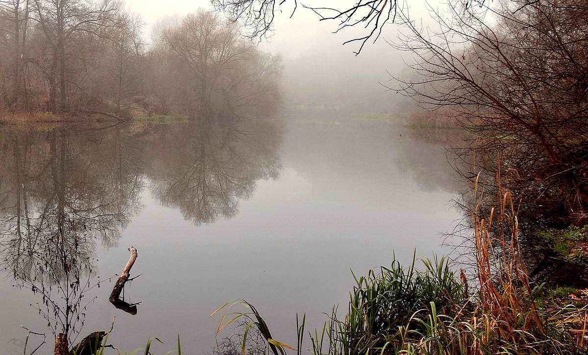 Туманным вечером на реке