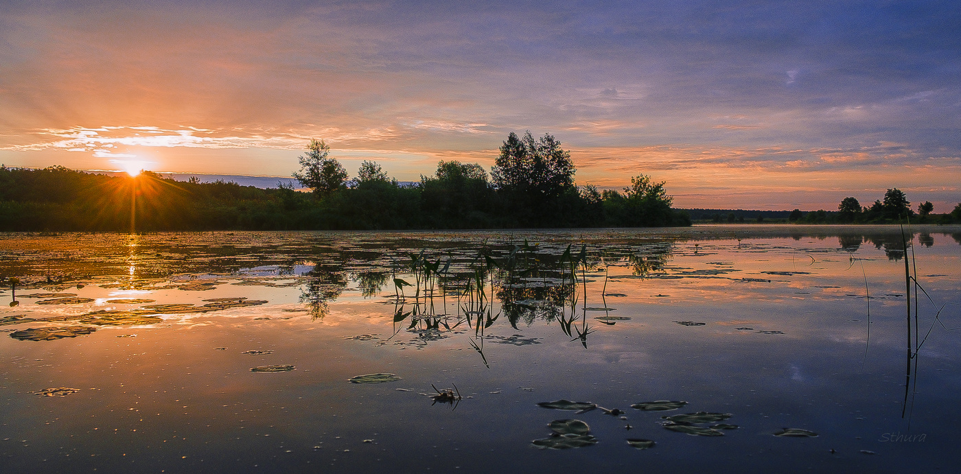 Летний пейзаж.