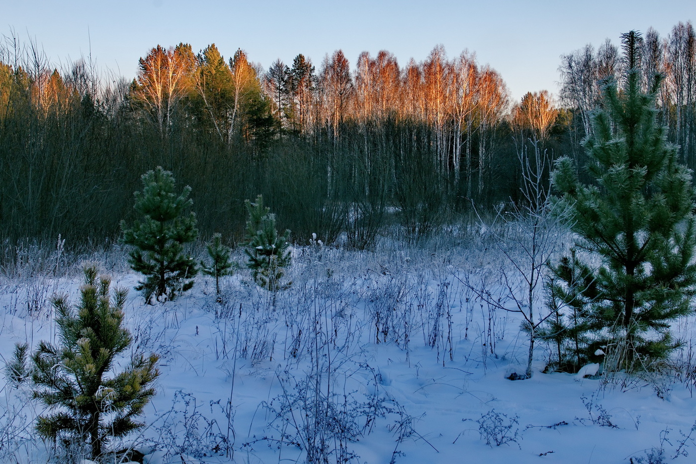Ноябрьский вечер.