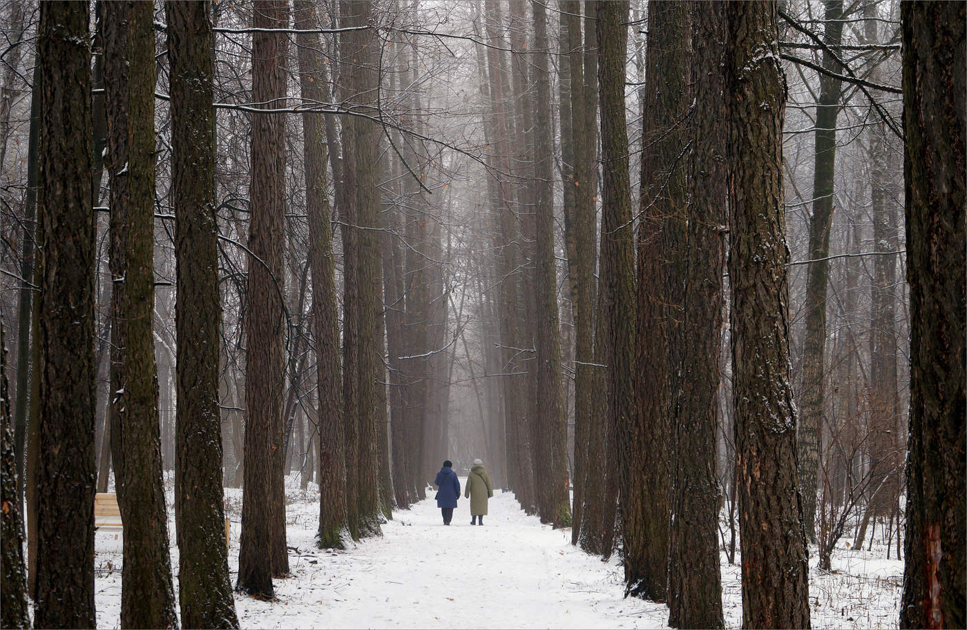 В старом парке