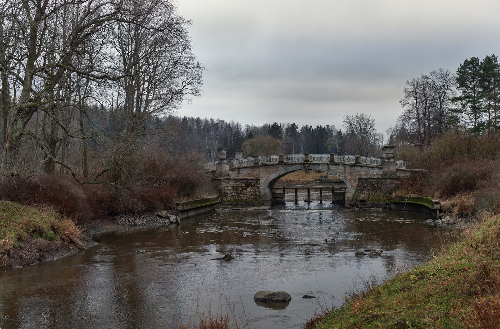 Поздняя осень...
