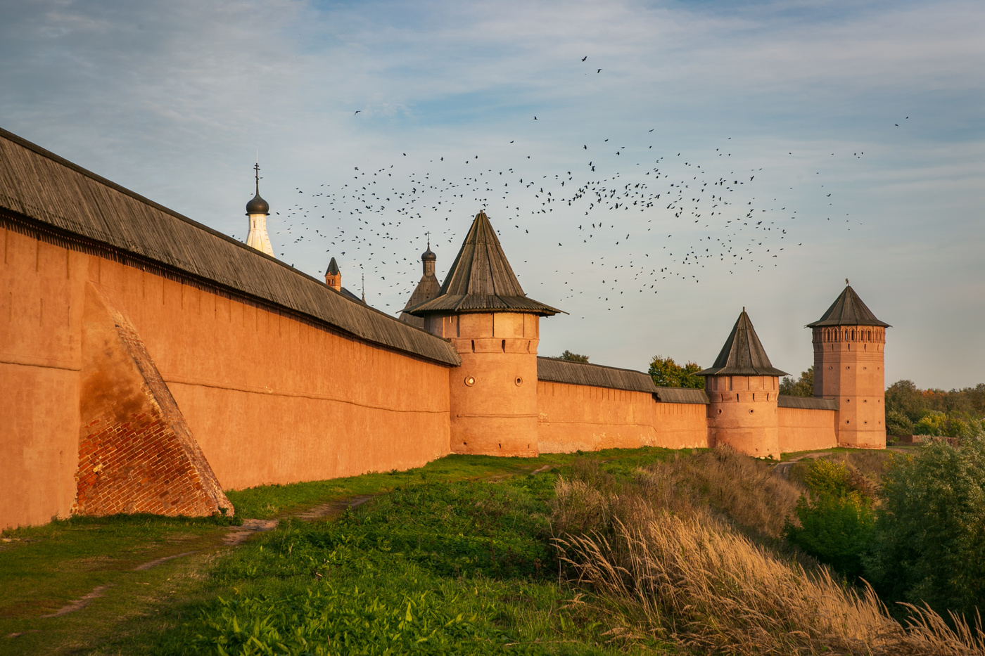 Птицы над Суздалем