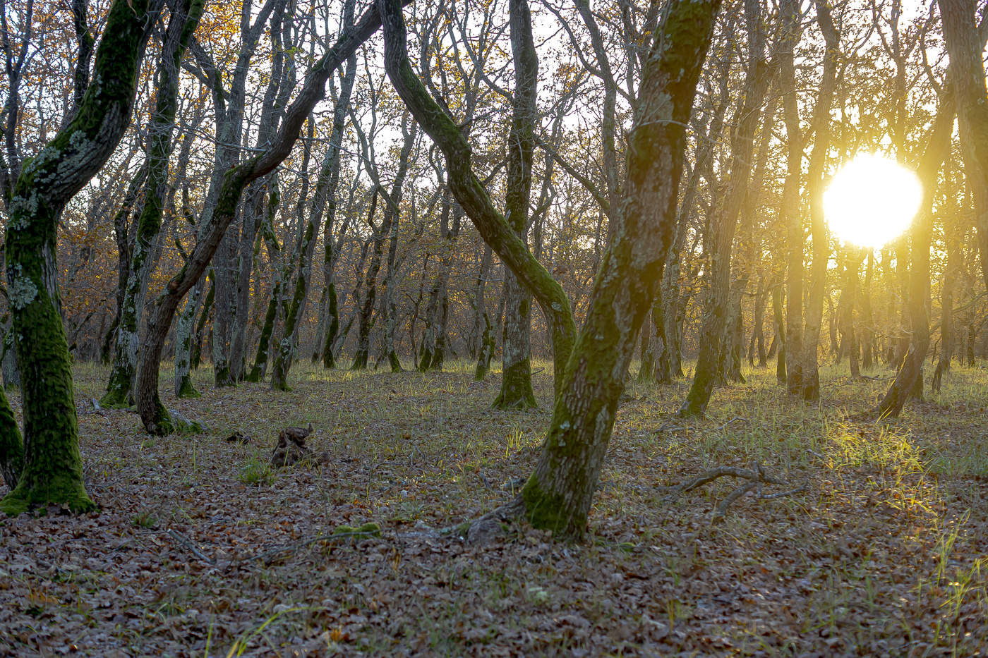 Танцы на закате