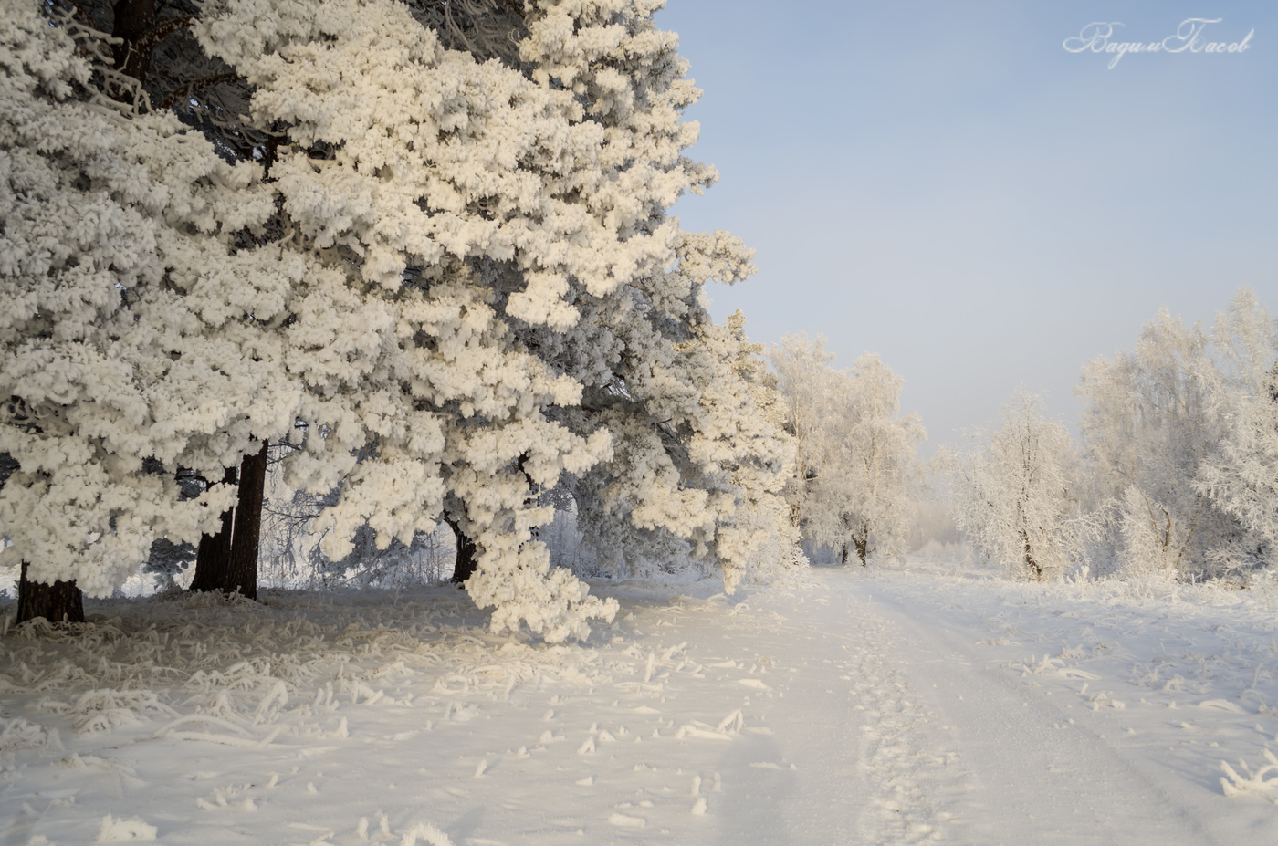 Морозным ноябрьским утром.