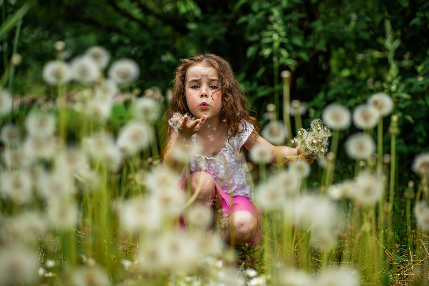 Девочка с одуванчиками