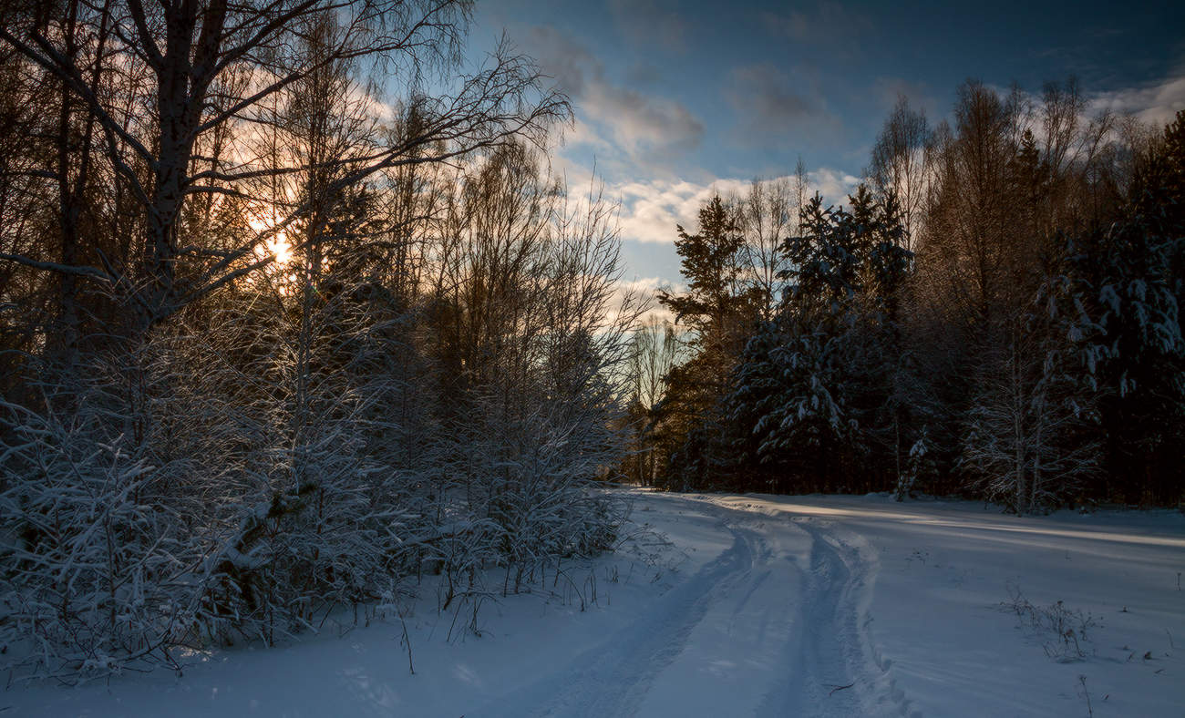 Уходит зимний день