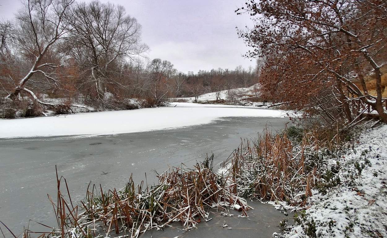 Зимние мотивы