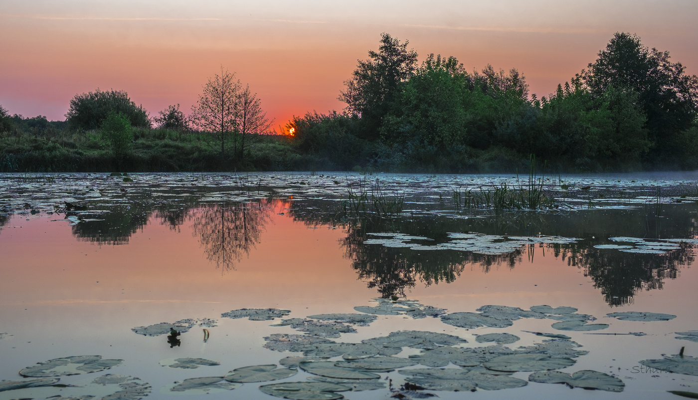 Солнце выглядывает.