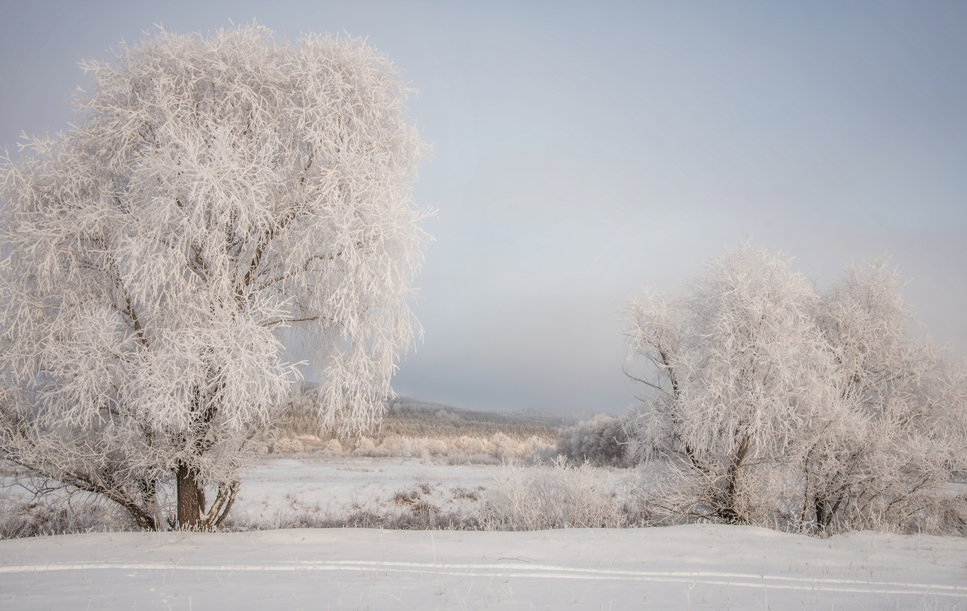 Первый иней