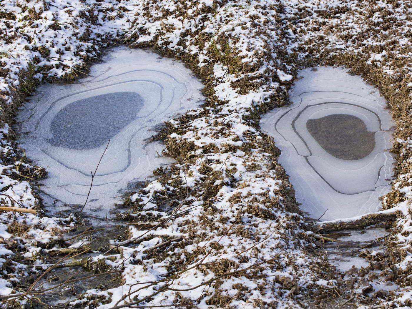 Глаза Лешего.