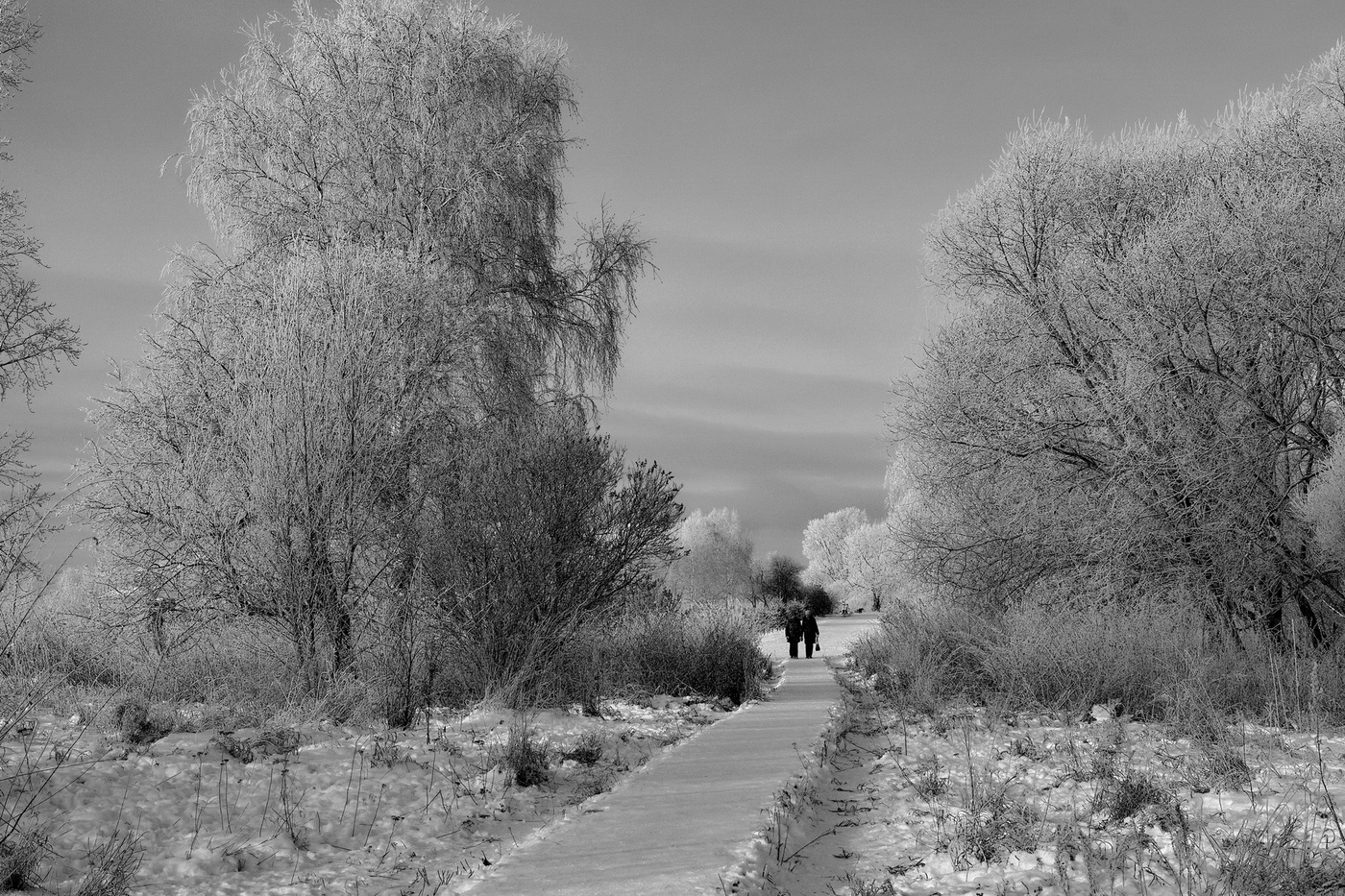 Начало зимы.