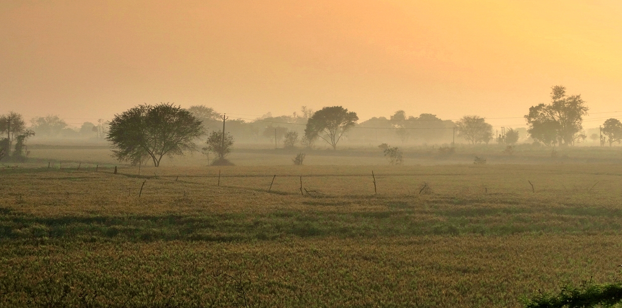 Знойное туманное утро