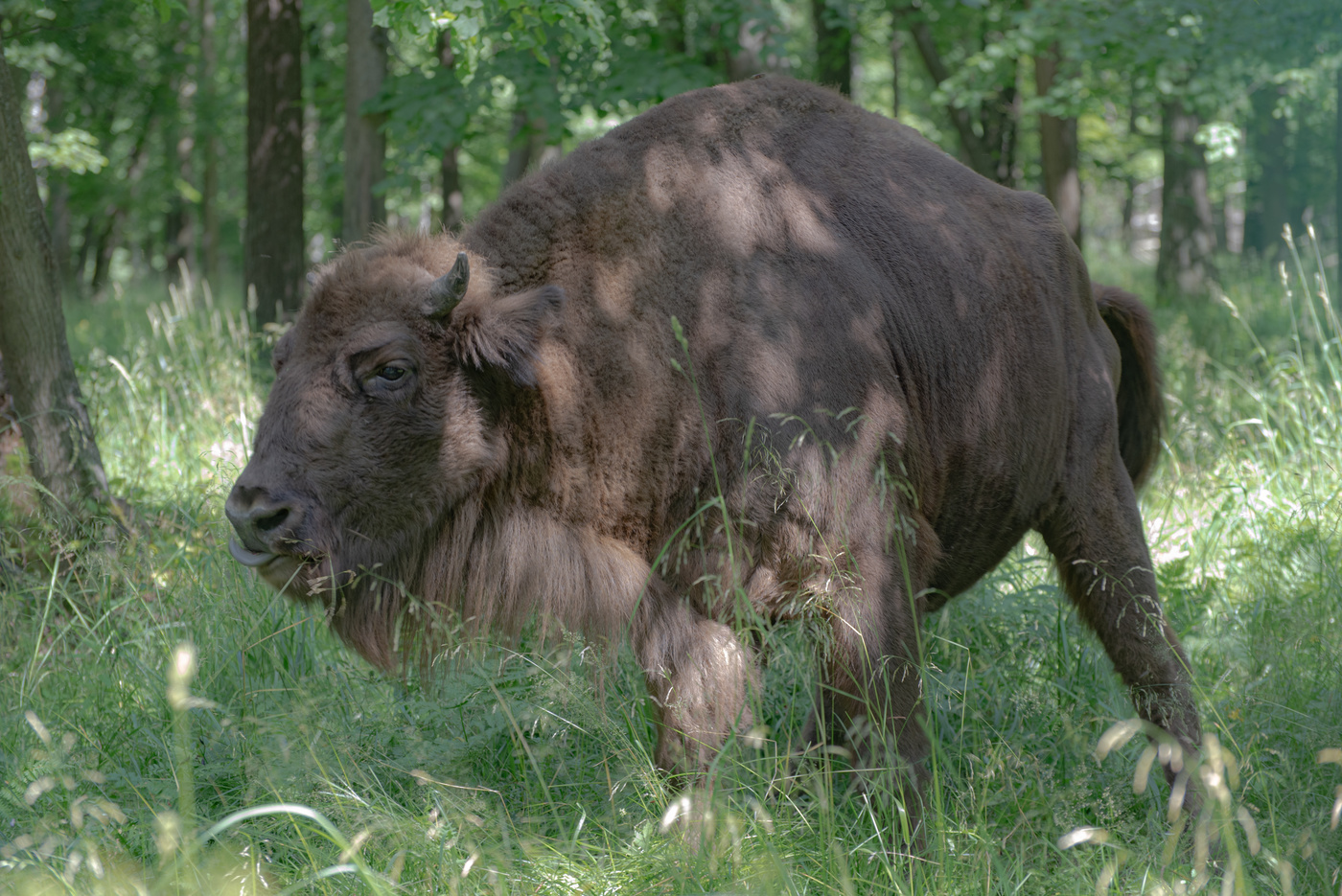 Заповедник