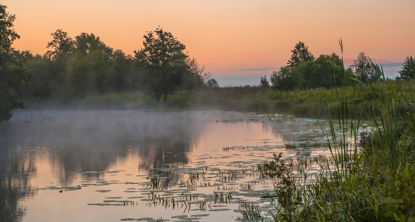 Летний рассвет.