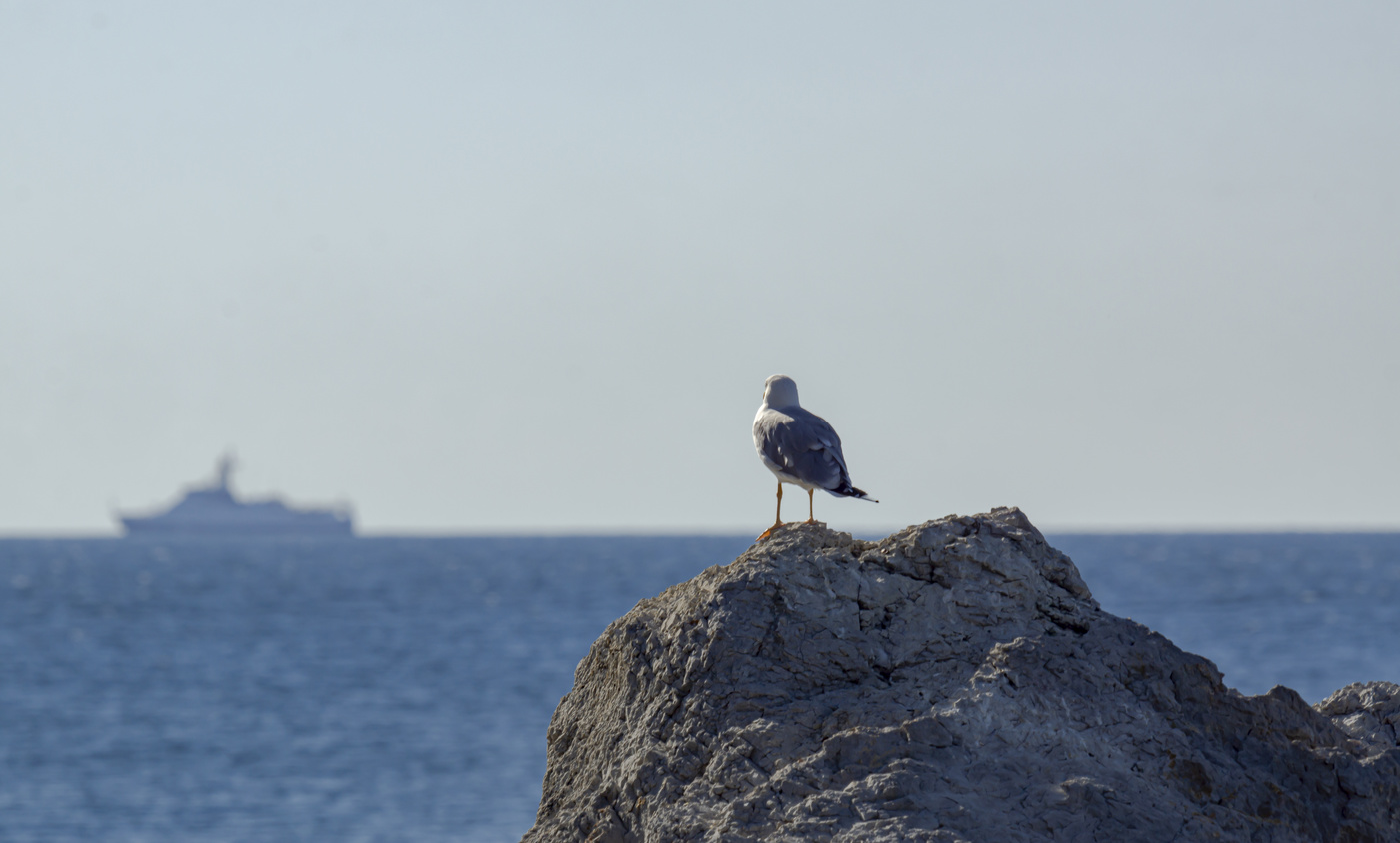 Так провожают пароходы...