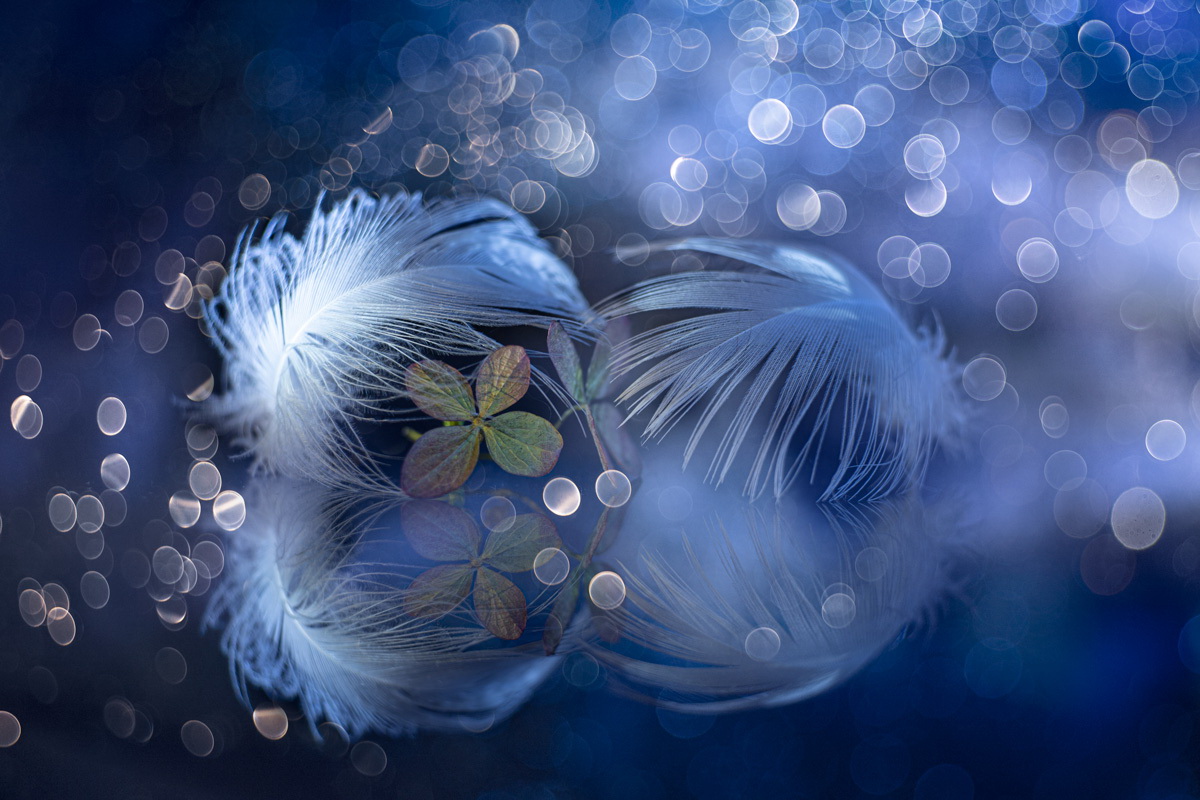 Прикосновение...