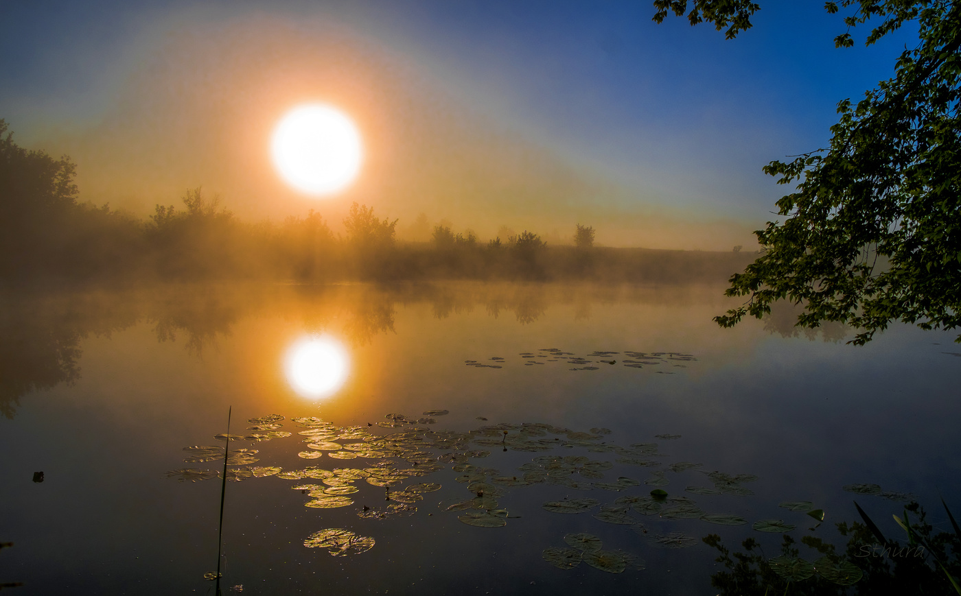 Утро летнее.