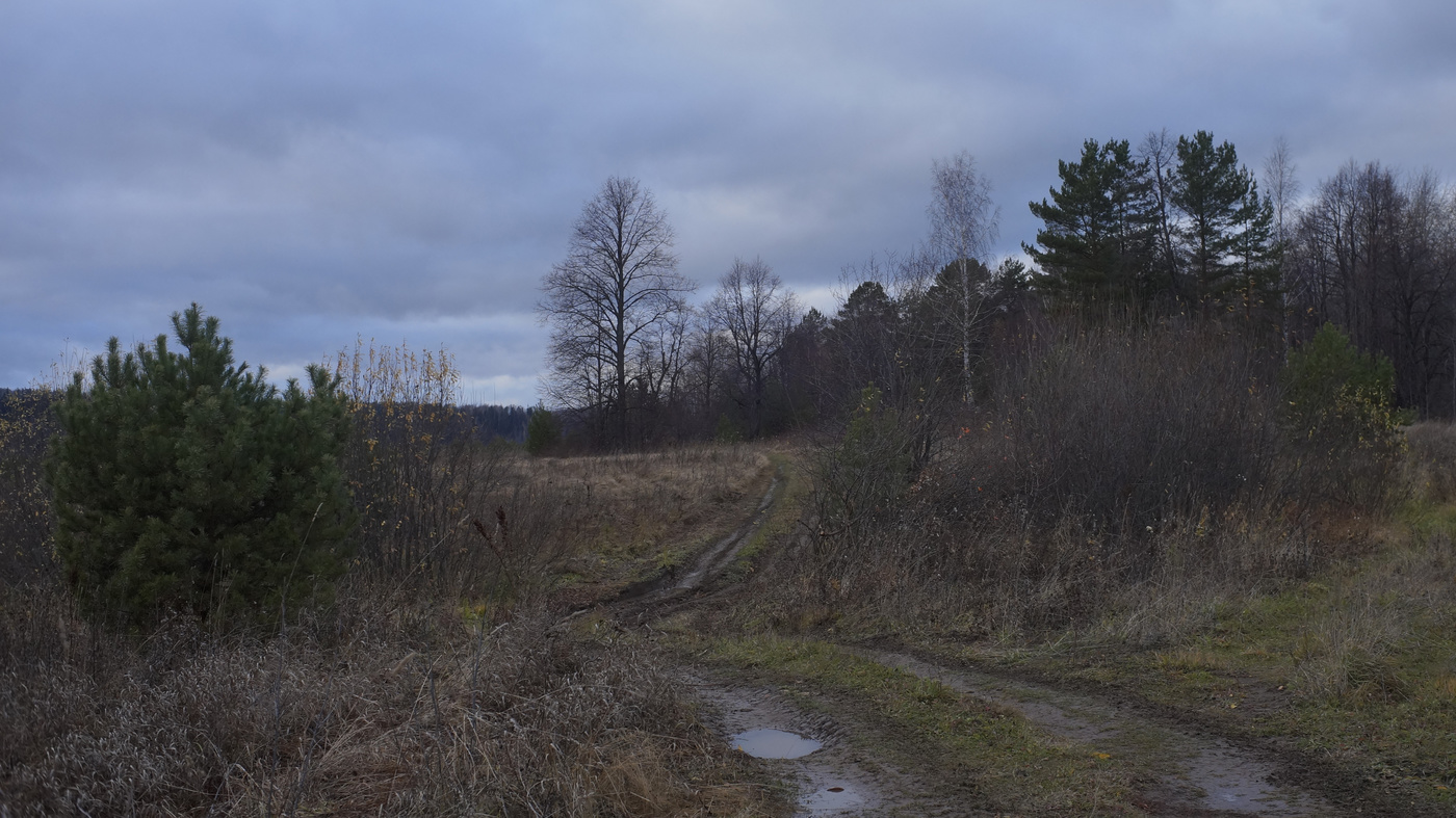 Пейзаж без прекрас..