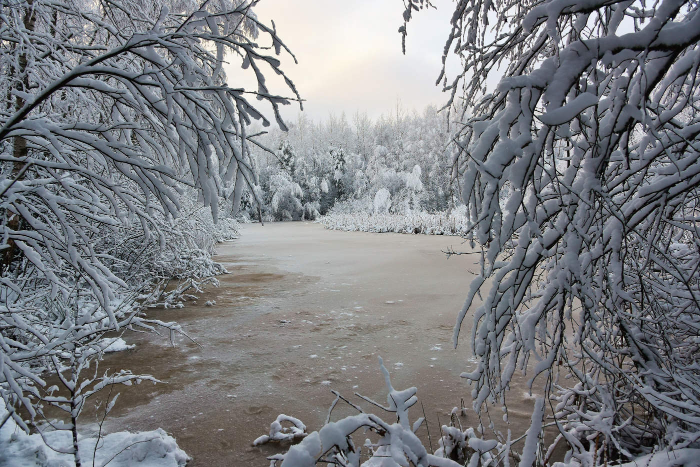 "Чародейкою зимою околдован лес стоит..."