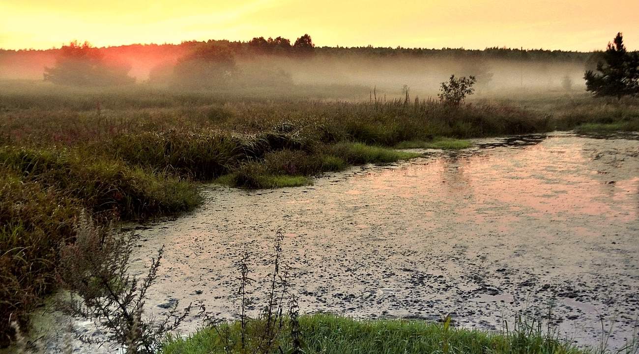 Про ползущий туман