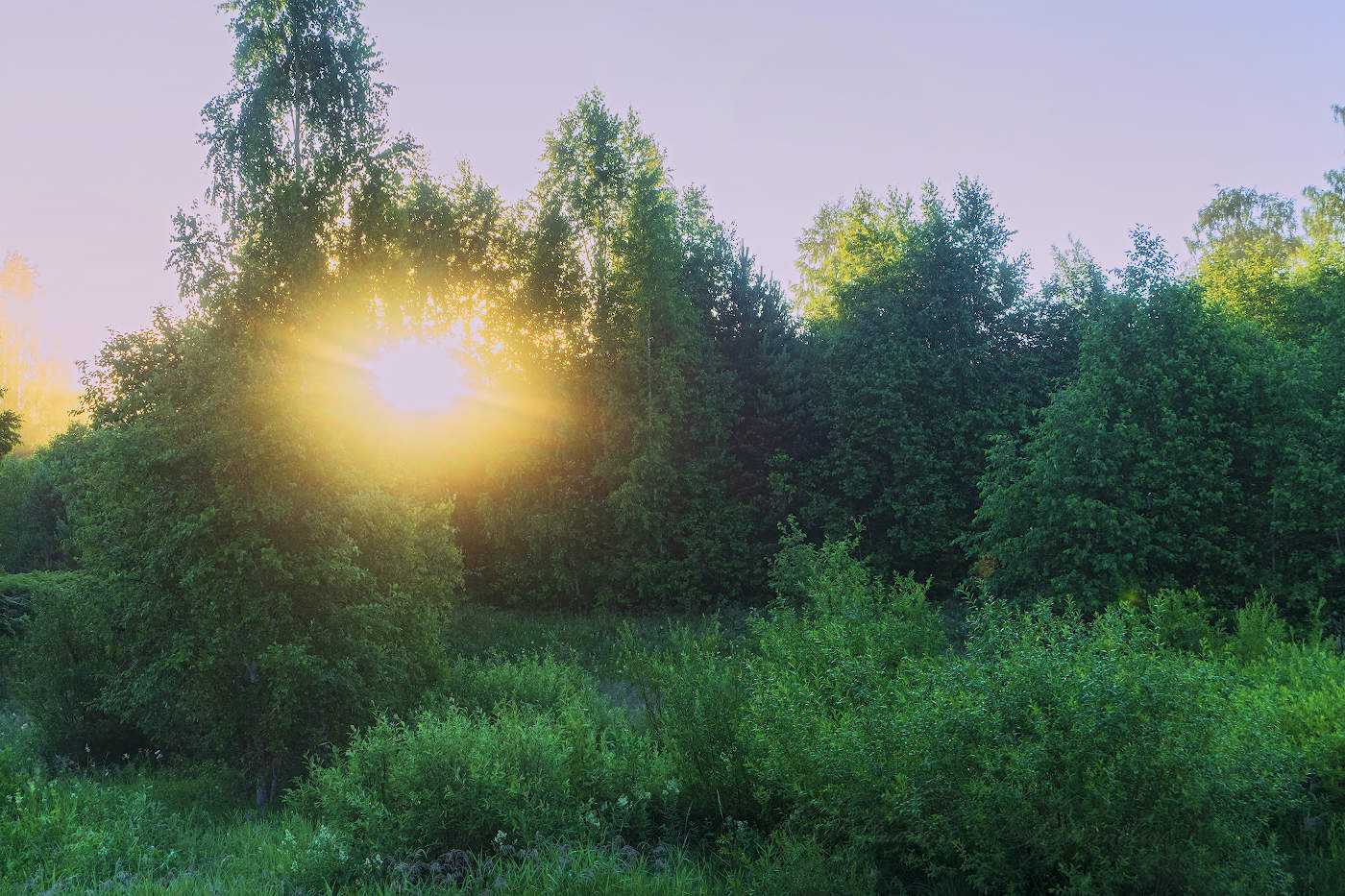 Солнечный взгляд