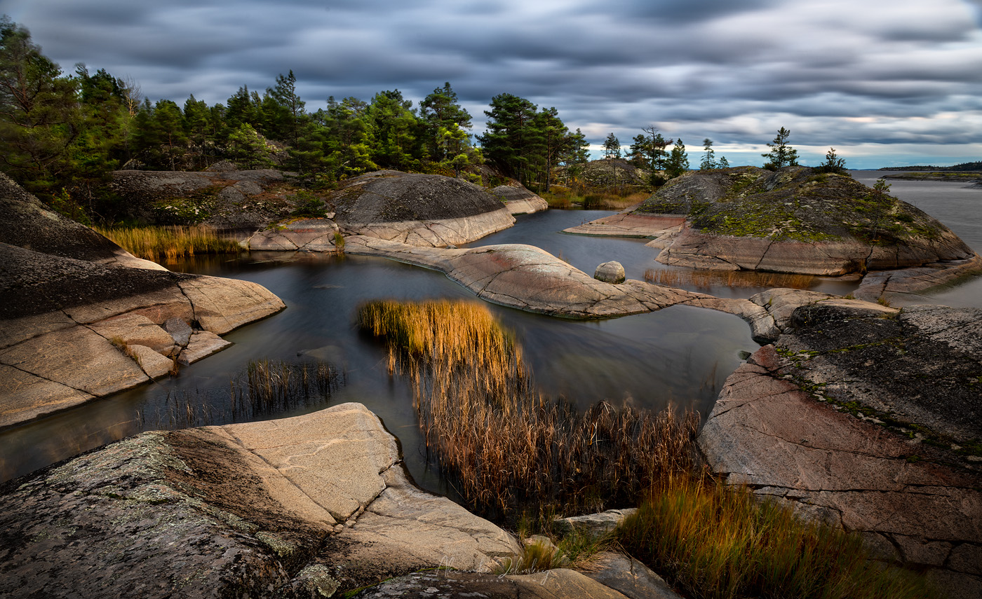 В сонных заводях