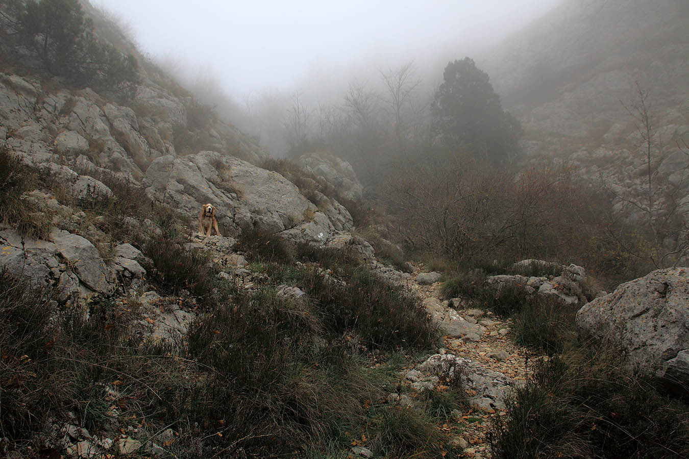 На перевале Чертова лестница