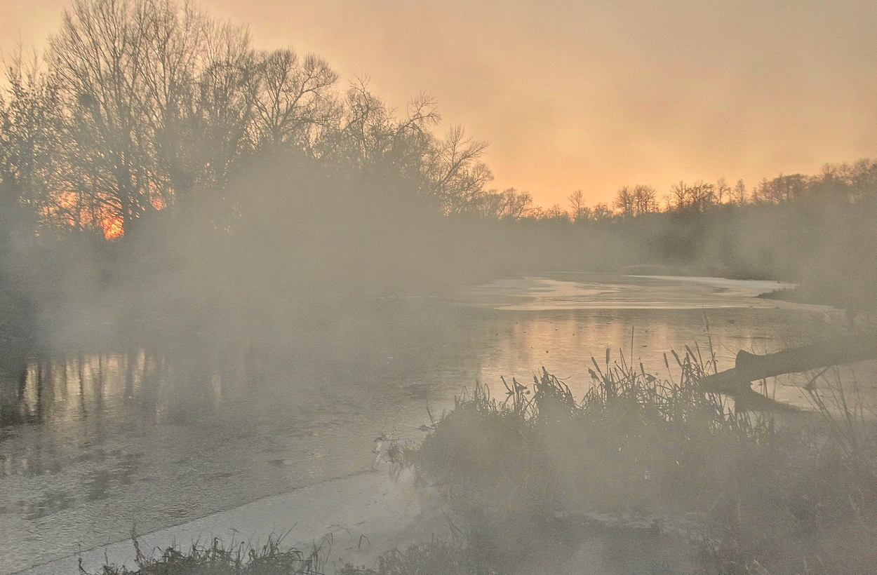 Декабрьский вечер выдался туманным и морозным