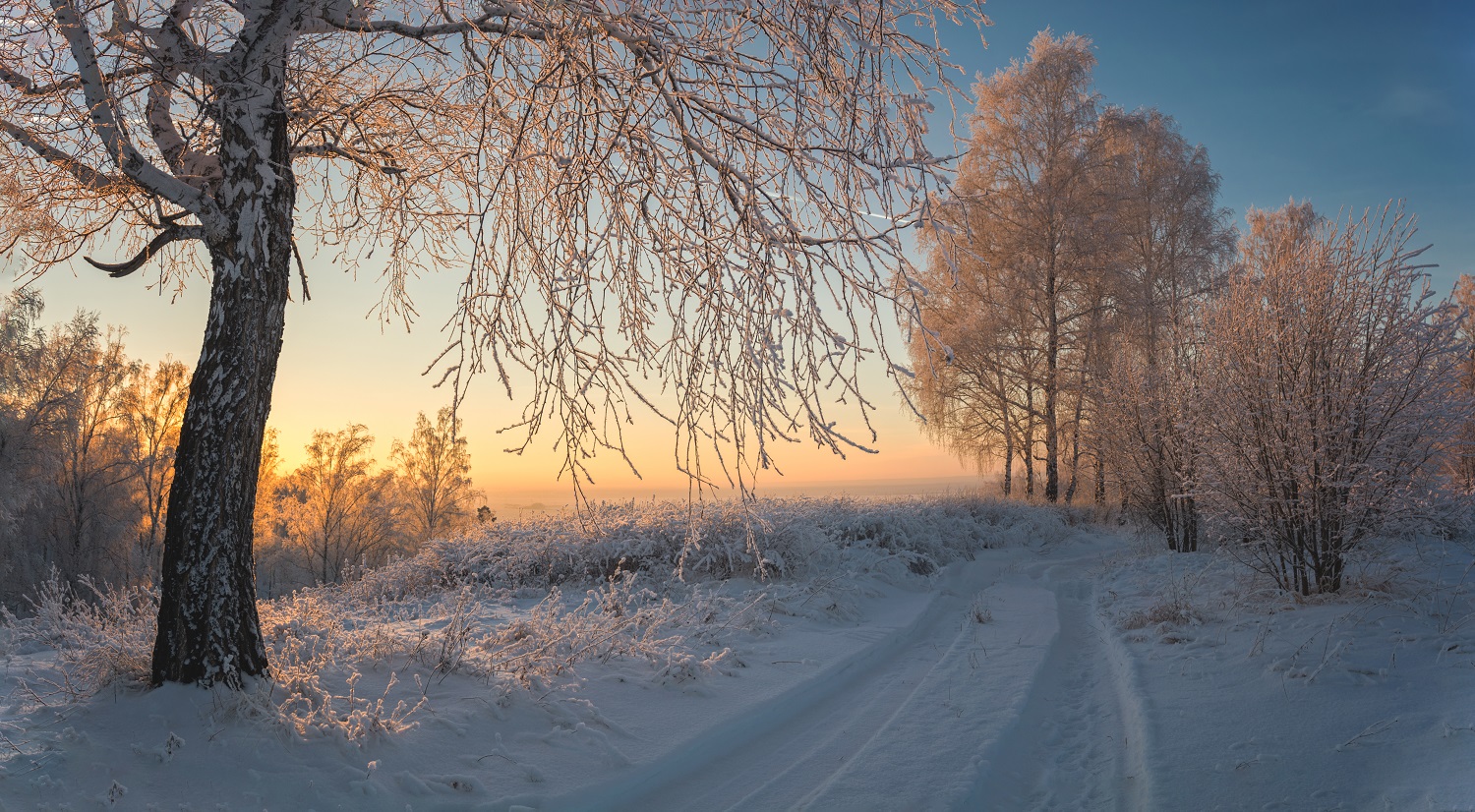 Вечерний свет