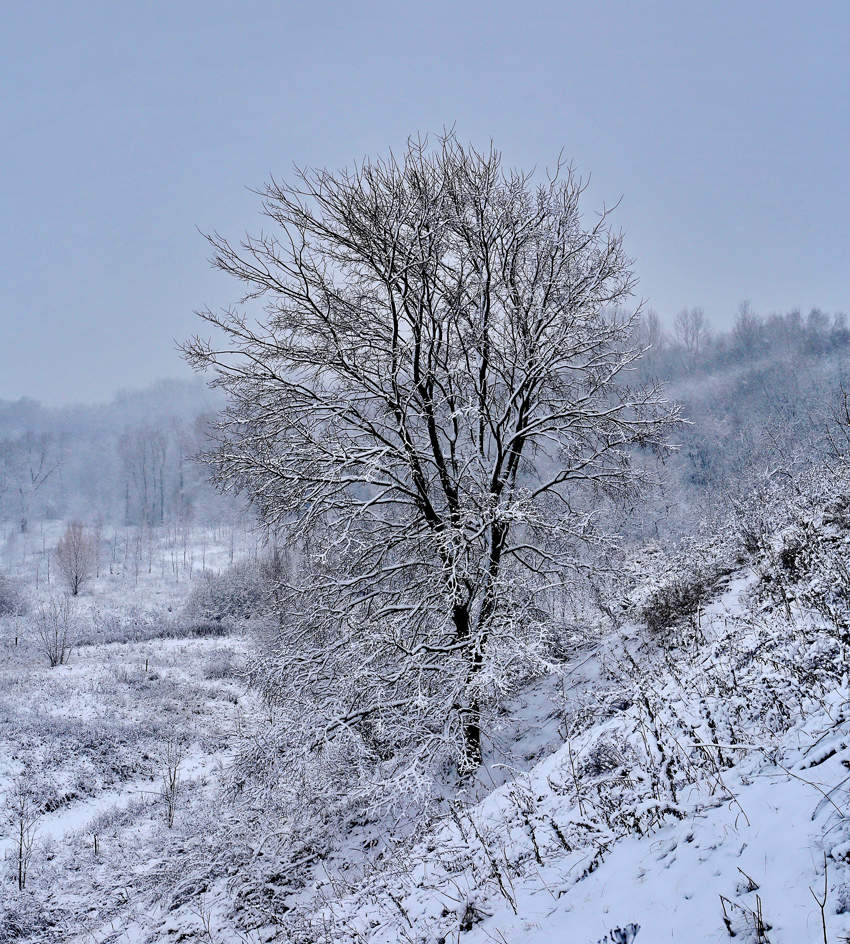 Первый снег