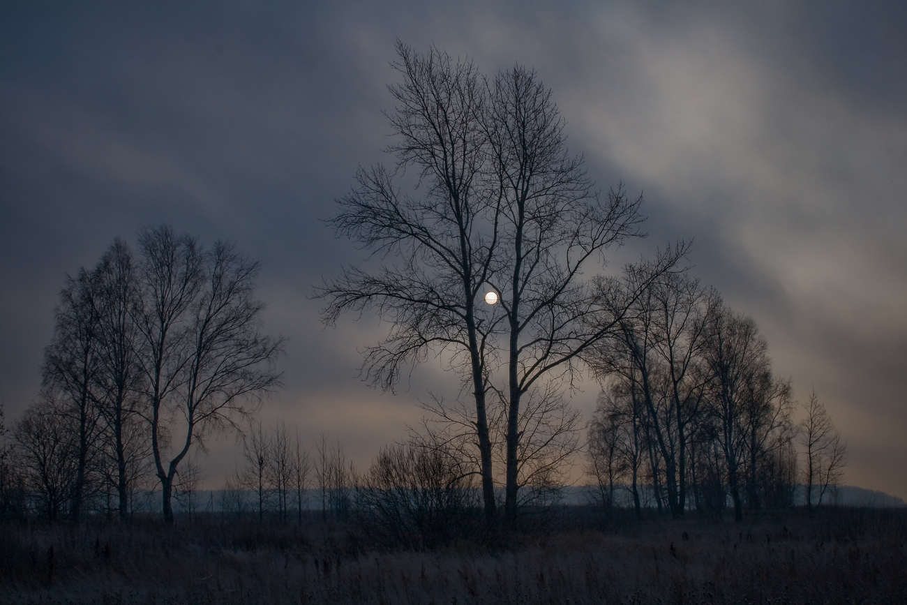 В полнолуние