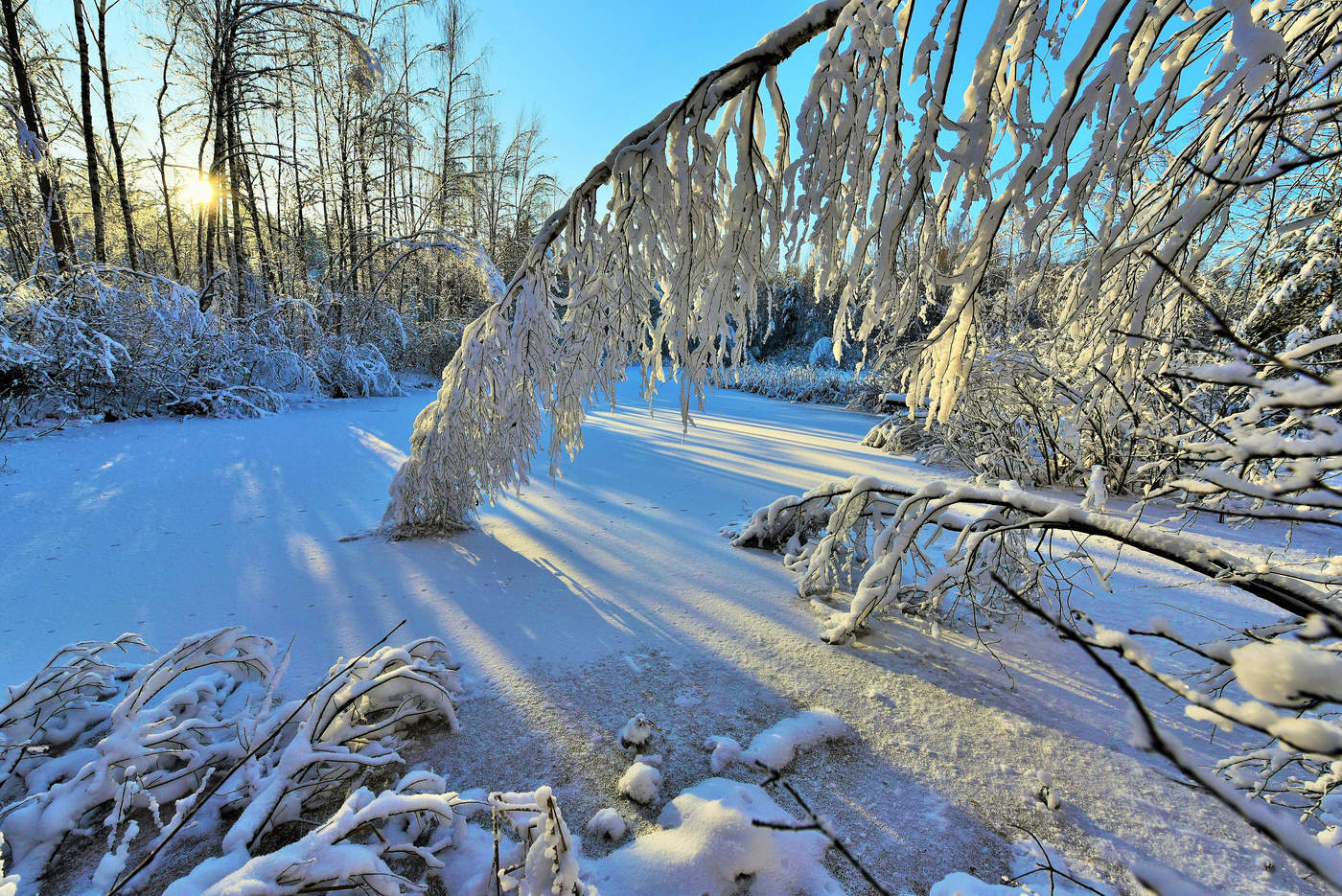 "Божьи дни коротки, солнце светит мало..."
