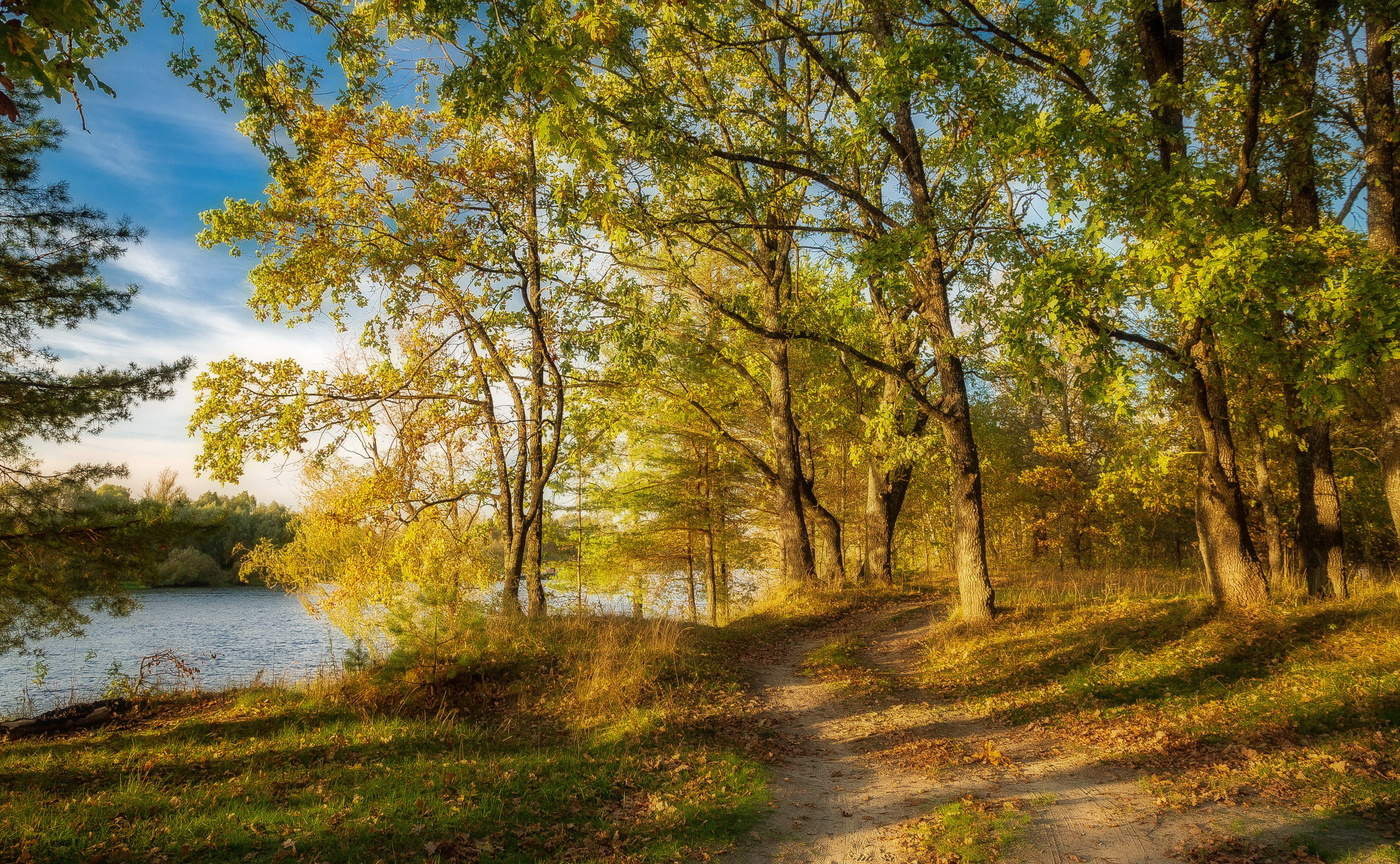 Воздух пахнет осенними листьями...