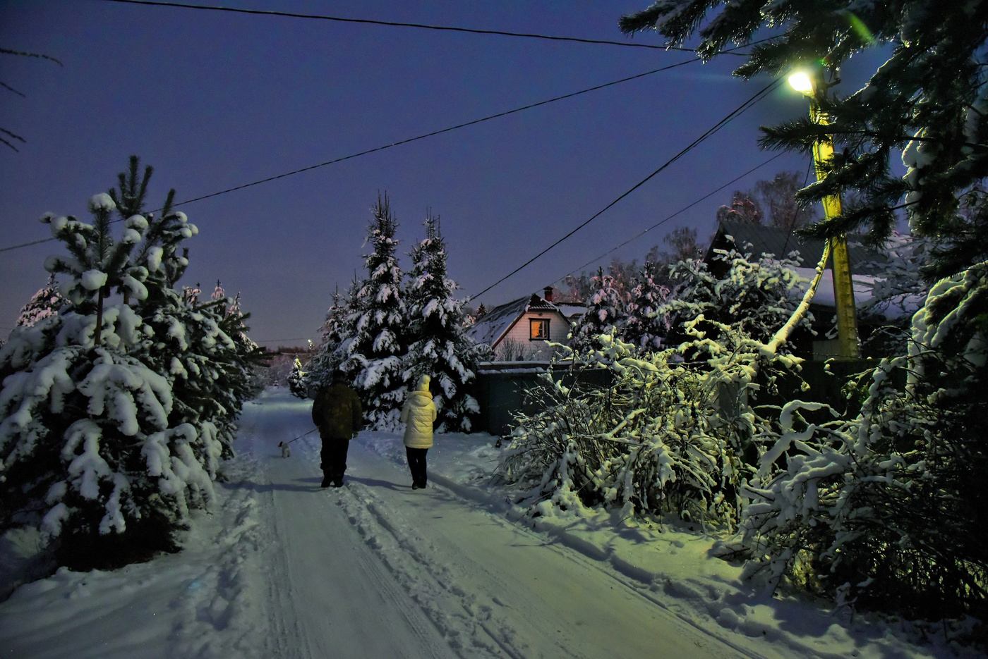 "Сумерки зимние, сумерки синие ..."