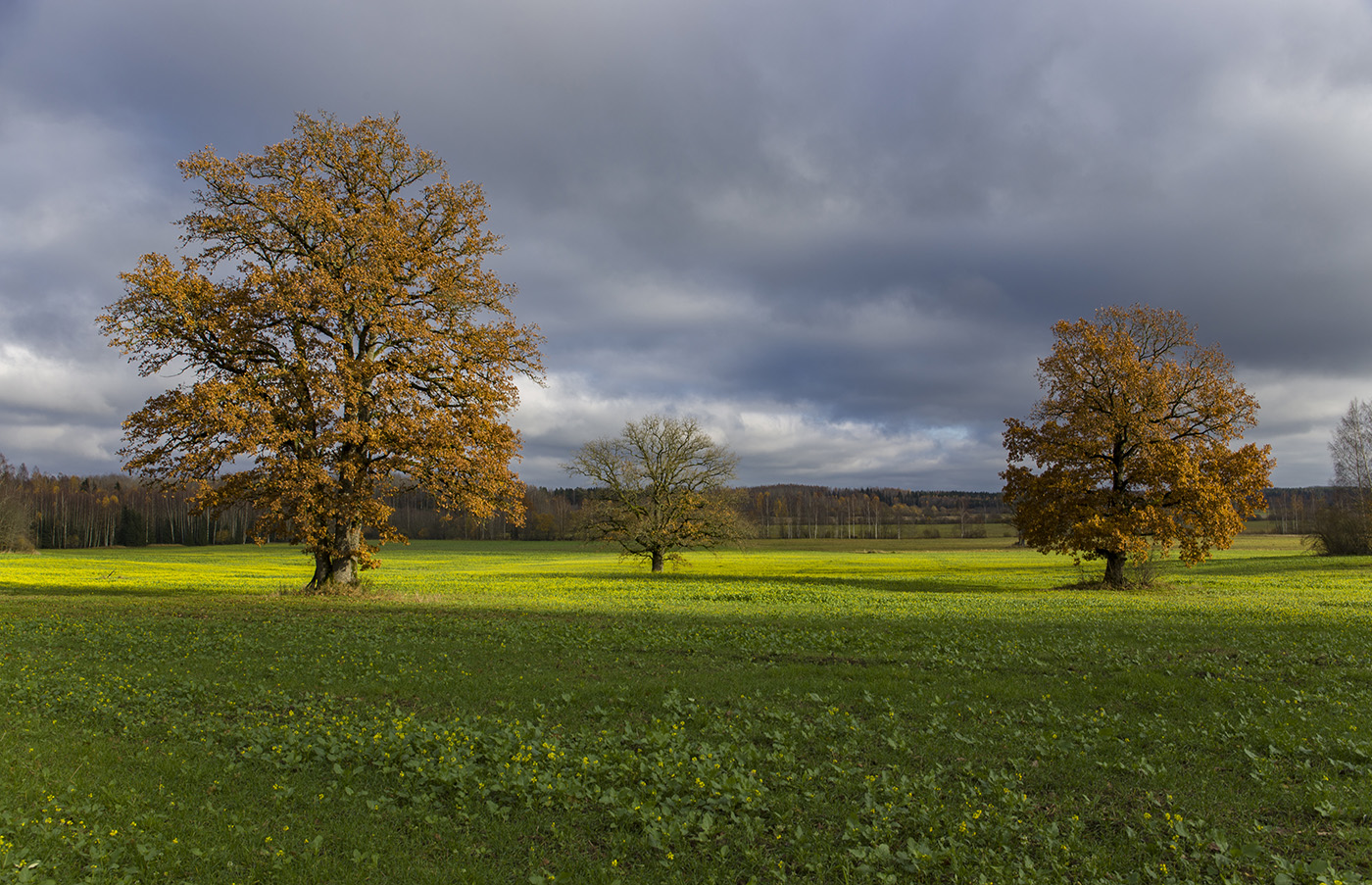 Комбинация из трех дубов