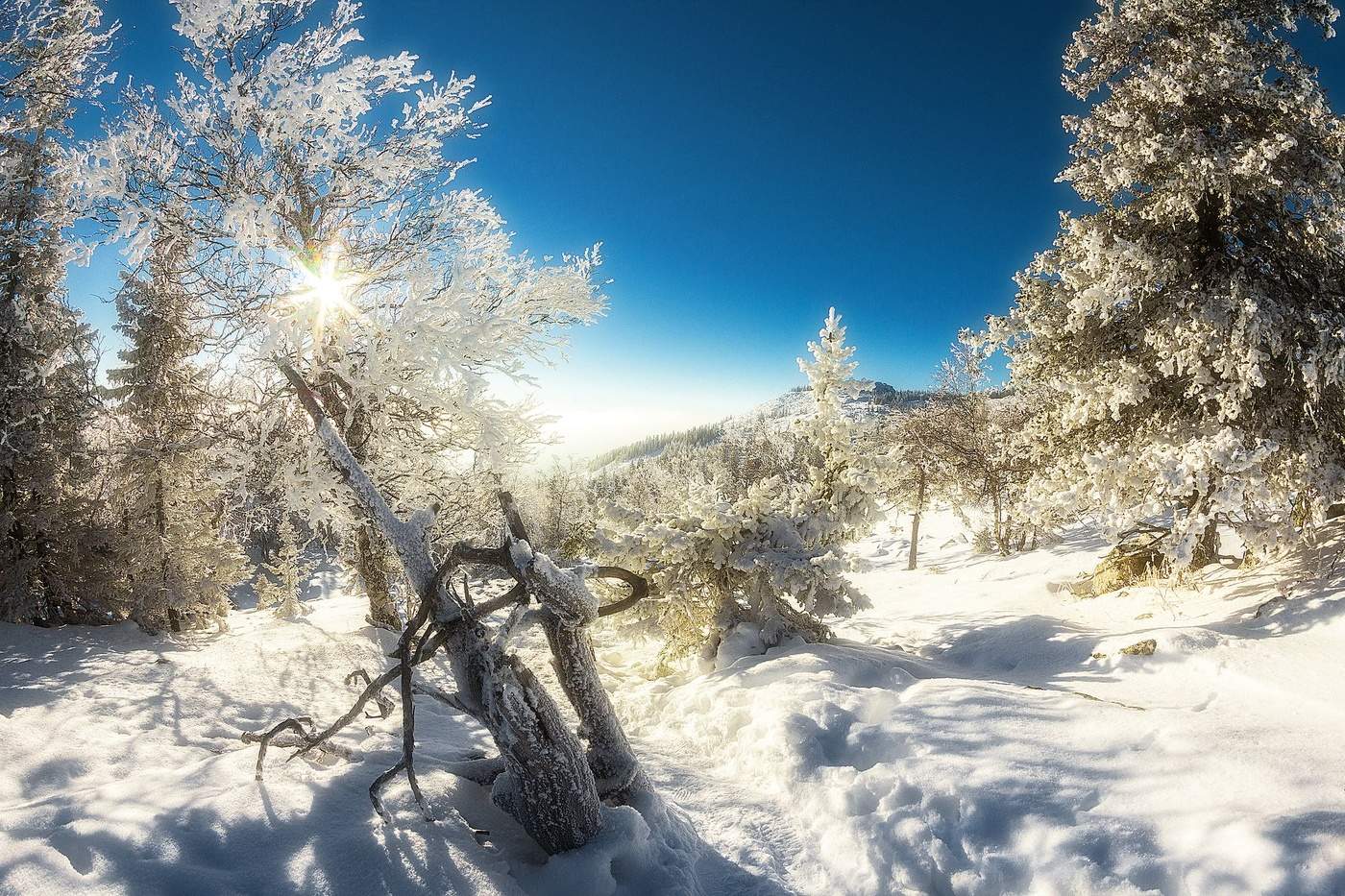 Тропа на Большой Уван