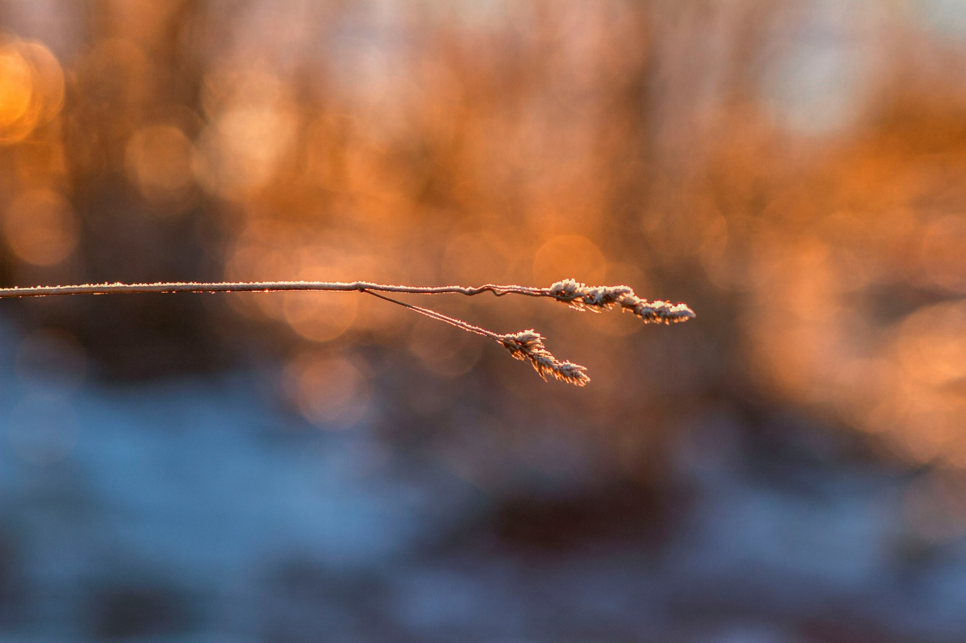 Утренний свет