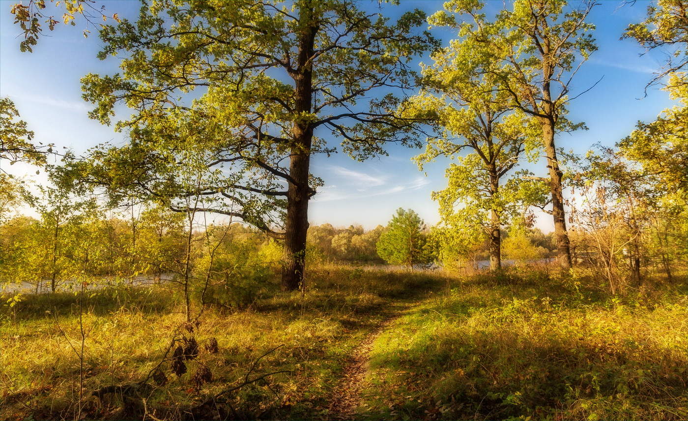 Осень цвета янтаря...