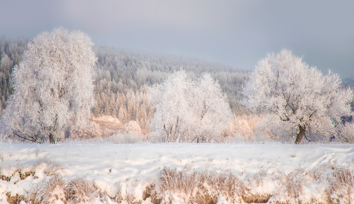 Мороз на старице Усени